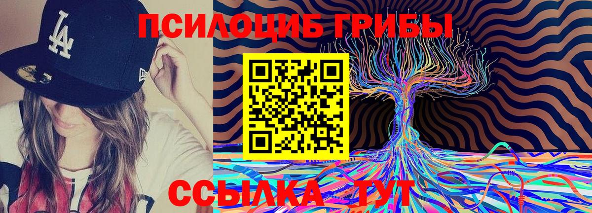 Галлюциногенные грибы Cubensis Всеволожск